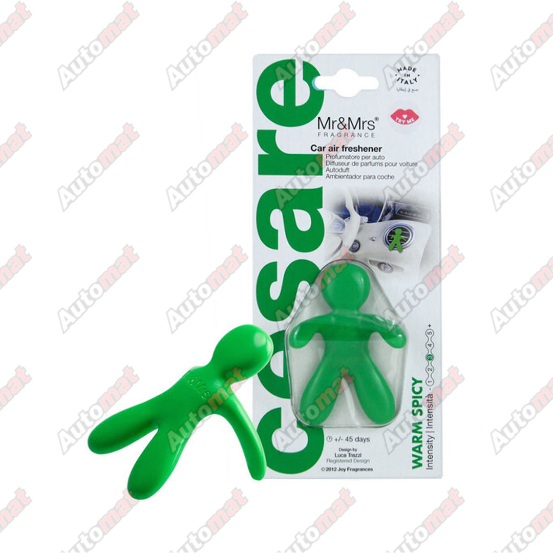 Ароматизатор для автомобиля CESARE / Зеленый / Warm spicy